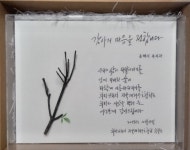 전국재해구호협회, 동해시청 복지과 감사패 전달