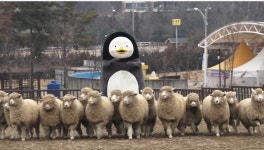 농협 안성팜랜드 찾은 펭수…산업관광 체험여행