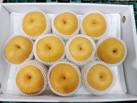 경주시, 설 맞이 현곡배로 마음을 전하세요