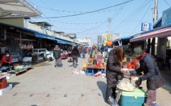 [르포] 원자력없어지니 사람도 끊기고...보름대목장에 찬바람만 도니더