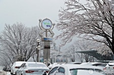 태백시 대설특보 발효 최대 40cm 예상