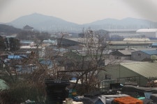 인천 백석동 한들마을 도시개발사업 환경평가 부실 재실시 촉구