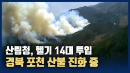 [영상] 안동 풍천면 야산서 불...진화율 50%