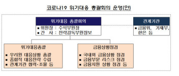 금감원, 코로나19 위기대응 총괄회의 확대 개최