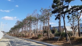 충북도, 60억 들여 산업단지 미세먼지 차단숲 조성