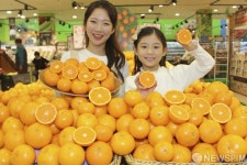 롯데마트, 진지향 - 만다린 오렌지 맛보세요