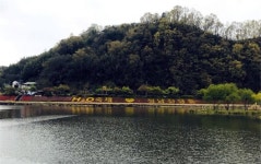 장흥군, 탐진강변 다채로운 블루경관 조성 나서