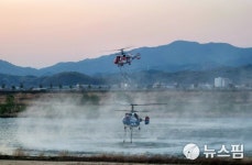 [속보] 안동 풍천 산불 100ha 태우고 계속 확산...강풍에 진화 난항