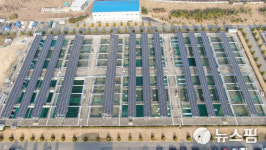 여름철 풍수해 대비 태양광·풍력발전소 4만4000곳 사전점검