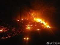 [3보] 고성 산불 학야리로 확산 중...주민 대피령·대응2단계 발령