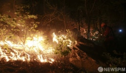 강한 바람 부는 고성... '화재 진압에 총력'