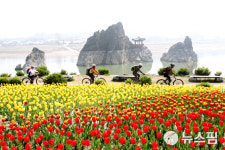 단양군, 지역관광추진조직 공모 선정…국비 1억5000만원 확보