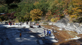 동해시, 18일부터 무릉계곡 주차요금 정상화