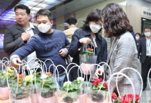 스승의 날 및 가정의 달 맞아 화분 받아가는 교육청 직원들