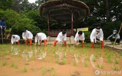 창덕궁 모내기 행사