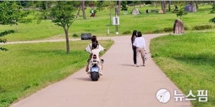 상주 경천섬 일대 자전거·전동바이크에 탐방객 위험 노출