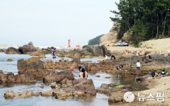 영덕군 여름철 물놀이 안전관리대책 마련