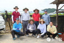 영동군의회 코로나19 극복 농촌일손돕기 실시