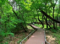 경기도 광릉숲 둘레길 새이름 유네스코 국립수목원길