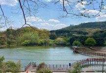 문경 틀모산 저수지 도시 숲 조성 완료