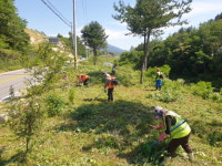 거창군 주상면 19일까지 환경정비 시행