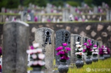 6.25 하루 앞둔 국립서울현충원