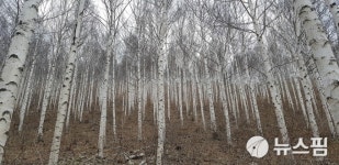 경북도, 국토부 지역개발 공모사업 4개소 선정