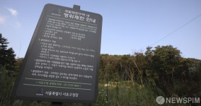 정부의 집값 잡기, 그린벨트 풀리나