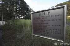 집값 잡기 그린벨트 풀릴까?