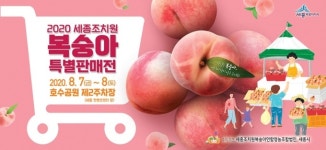 세종시 명품 조치원복숭아 판로확보 지원 판촉행사