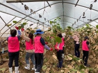 94억원 피해 진천군 공무원 수해농가 복구 지원 앞장