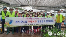 [르포] 용인 화훼농장도 토사에 아수라장...자원봉사자들 복구 구슬땀