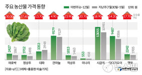 오르락 내리락 폭우에 신선식품 급등세...유통街 추석 대목인데 어쩌나