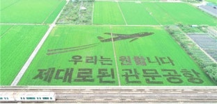 부산 대저 들녘에 제대로 된 관문공항 논 그림 등장