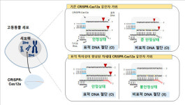 생명연, 더 정확하게 표적 잘라내는 크리스퍼 유전자 가위 개발