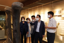 목포자연사박물관 16년 만에 전남 대표박물관으로 재탄생