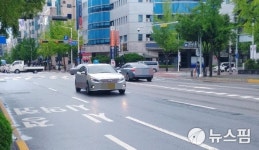 대전시 시내·전세버스 및 택시 차령 1년 연장…운수업계 지원