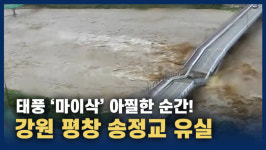 [영상] 태풍 마이삭 아찔한 순간…불어난 강물에 송정교 폭삭