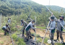 50사단 영덕대대, 태풍 피해현장서 연일 구슬땀