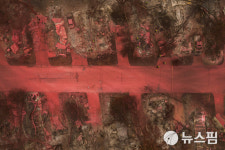 [사진] 발화지연제로 뒤덮인 오리건 주 산불 피해 현장