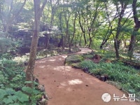 내장산국립공원 탐방로 우드칩 황토길 조성 개통