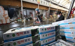 화재 발생한 청량리 청과물시장