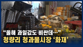 [영상] 비싼 과일 다 타버려…청량리 청과물시장 대형 화재