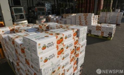 강서농산물도매시장에 쌓여있는 과일 박스들