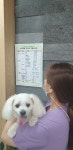 경남도, 반려동물 진료비 자율표시제 본격 시행