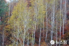 경북 북동산지 서리...동해안 풍랑특보 해제·너울파도 유의