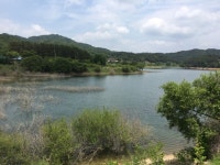 대청호 오백리길 이어진다…호반낭만길 수변데크 설치