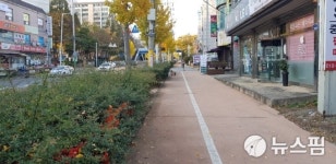 김제시 어린이보호구역에 자녀안심 그린숲 조성