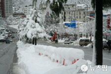 동해시, 겨울철 도로제설 종합대책 추진…제설장비 117대 운용