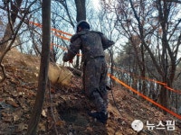 6공병여단, 양주시 일대 지뢰제거작전…대인지뢰 등 발견